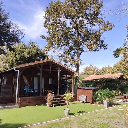 Chalet Prestige Au Coeur Du Bassin D'Arcachon La Teste-de-Buch Eksteriør bilde