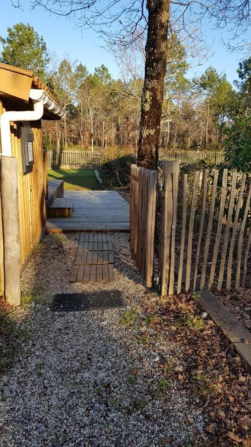 Chalet Prestige Au Coeur Du Bassin D'Arcachon La Teste-de-Buch Eksteriør bilde