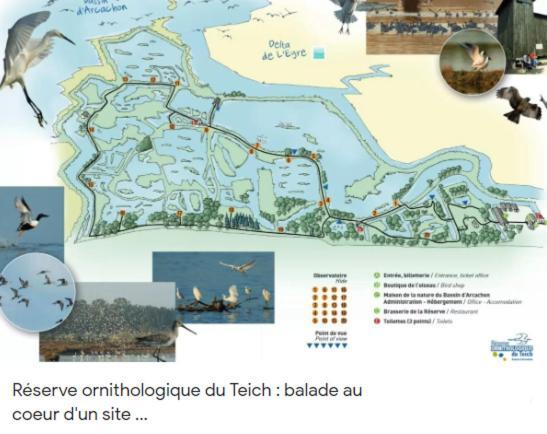 Chalet Prestige Au Coeur Du Bassin D'Arcachon La Teste-de-Buch Eksteriør bilde